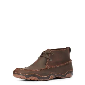 Ariat Mens Venturer Shoe Distressed Brown Ariat Shoes