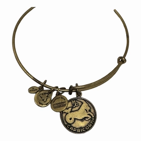 Bracelet Bangle By Alex And Ani