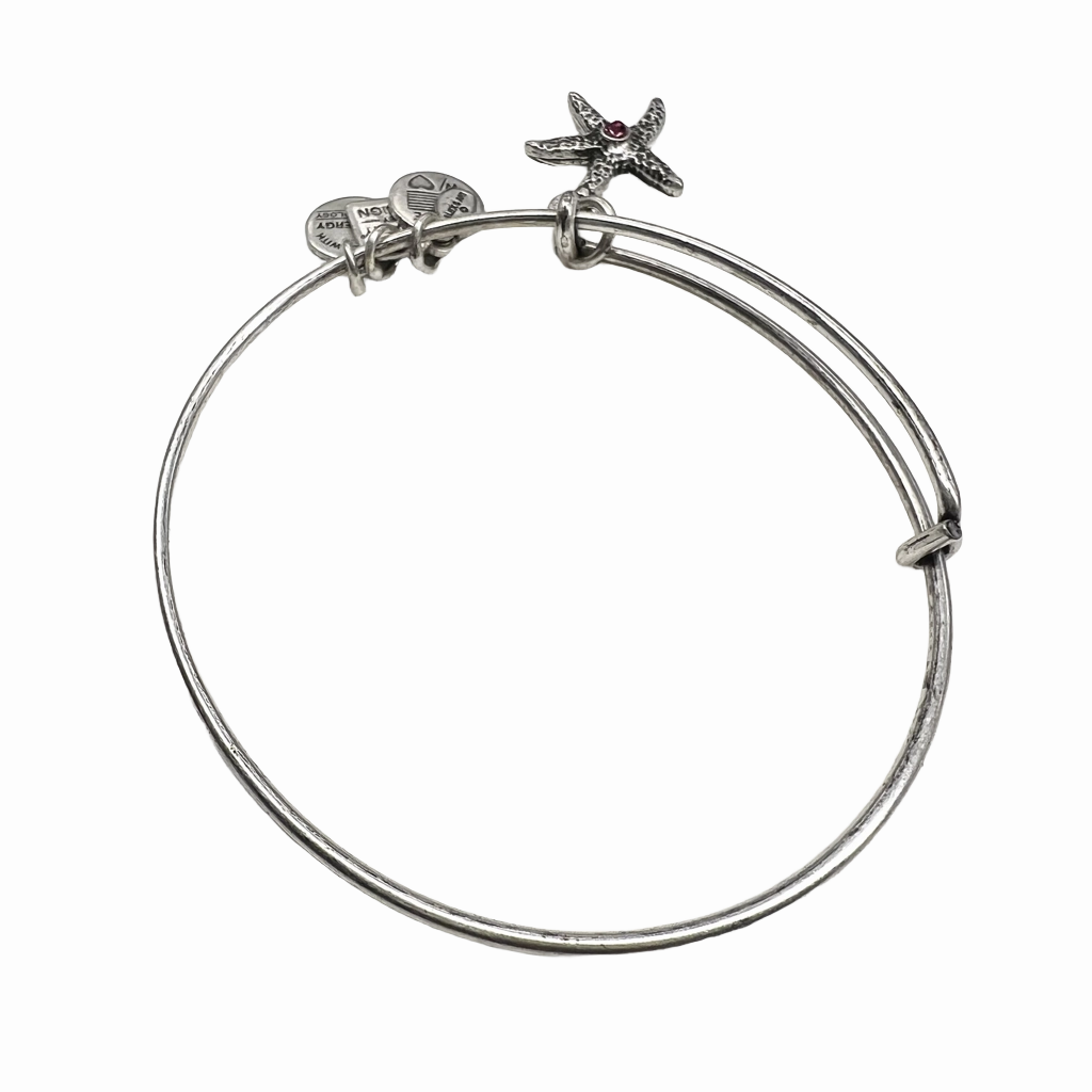 Bracelet By Alex And Ani