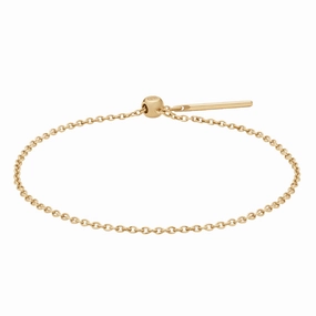 Daniel Wellington Charms Chain Gold Bracelet DW00400393