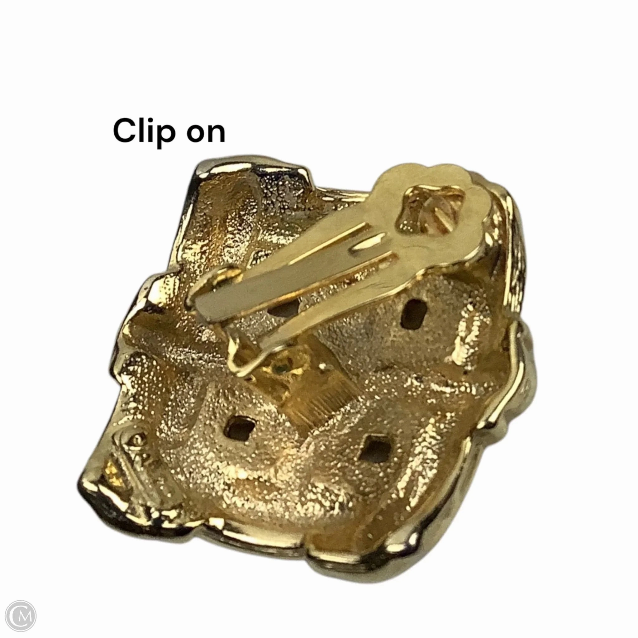 Earrings Clip By Clothes Mentor