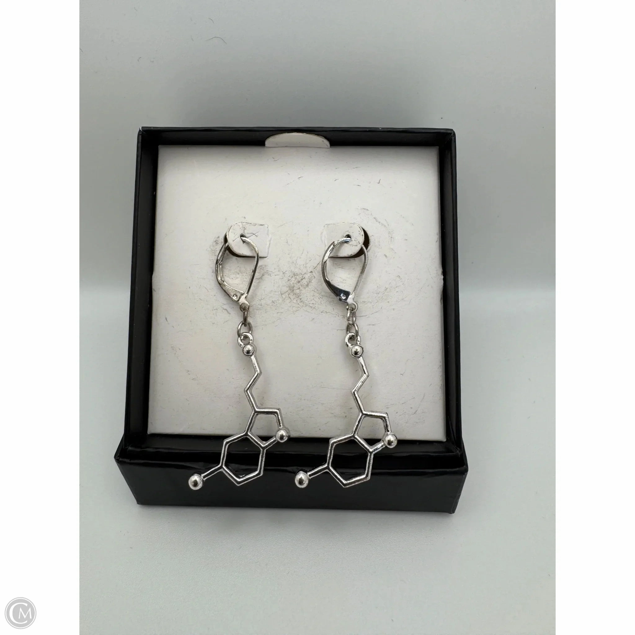Earrings Dangle/drop By Clothes Mentor