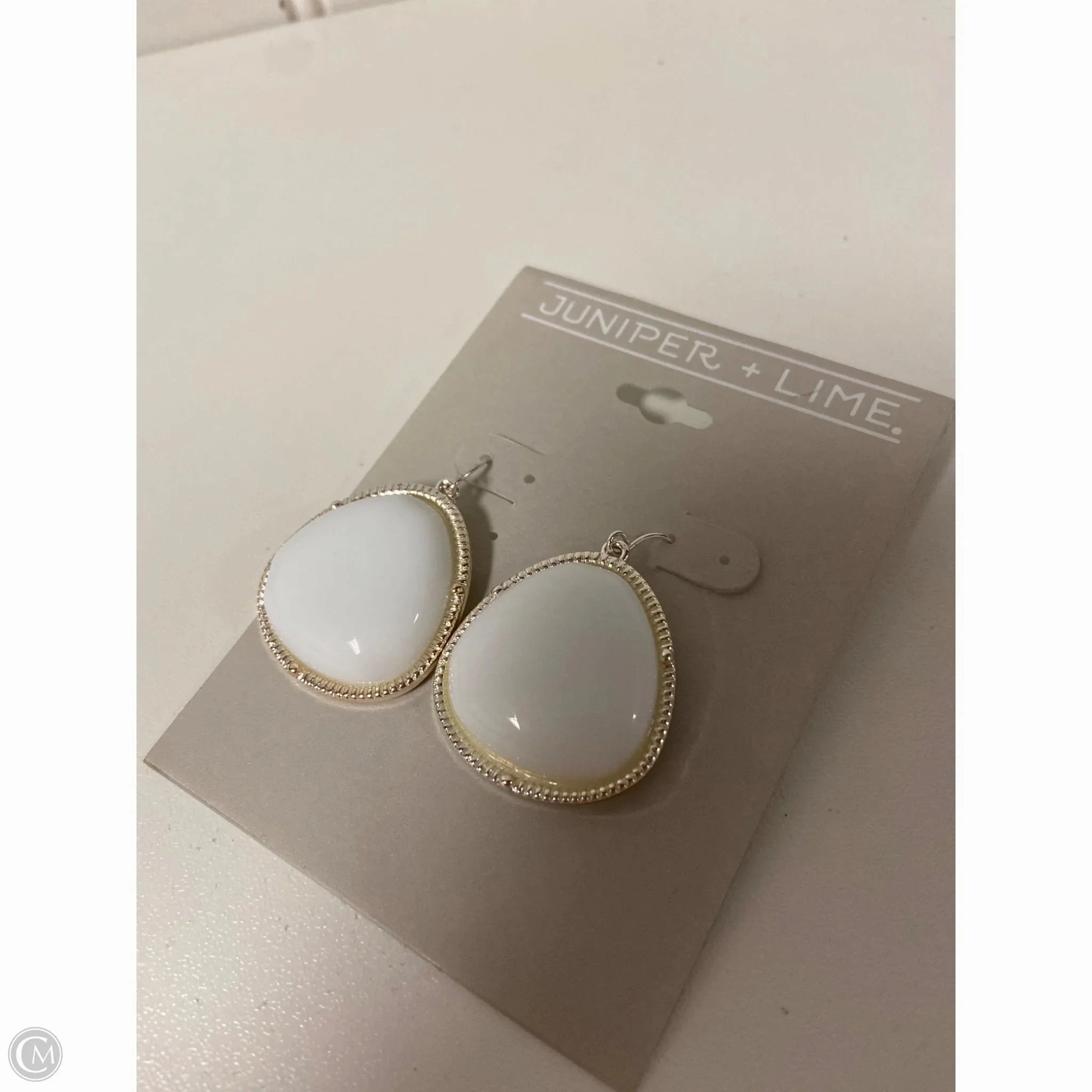Earrings Dangle/drop By Clothes Mentor