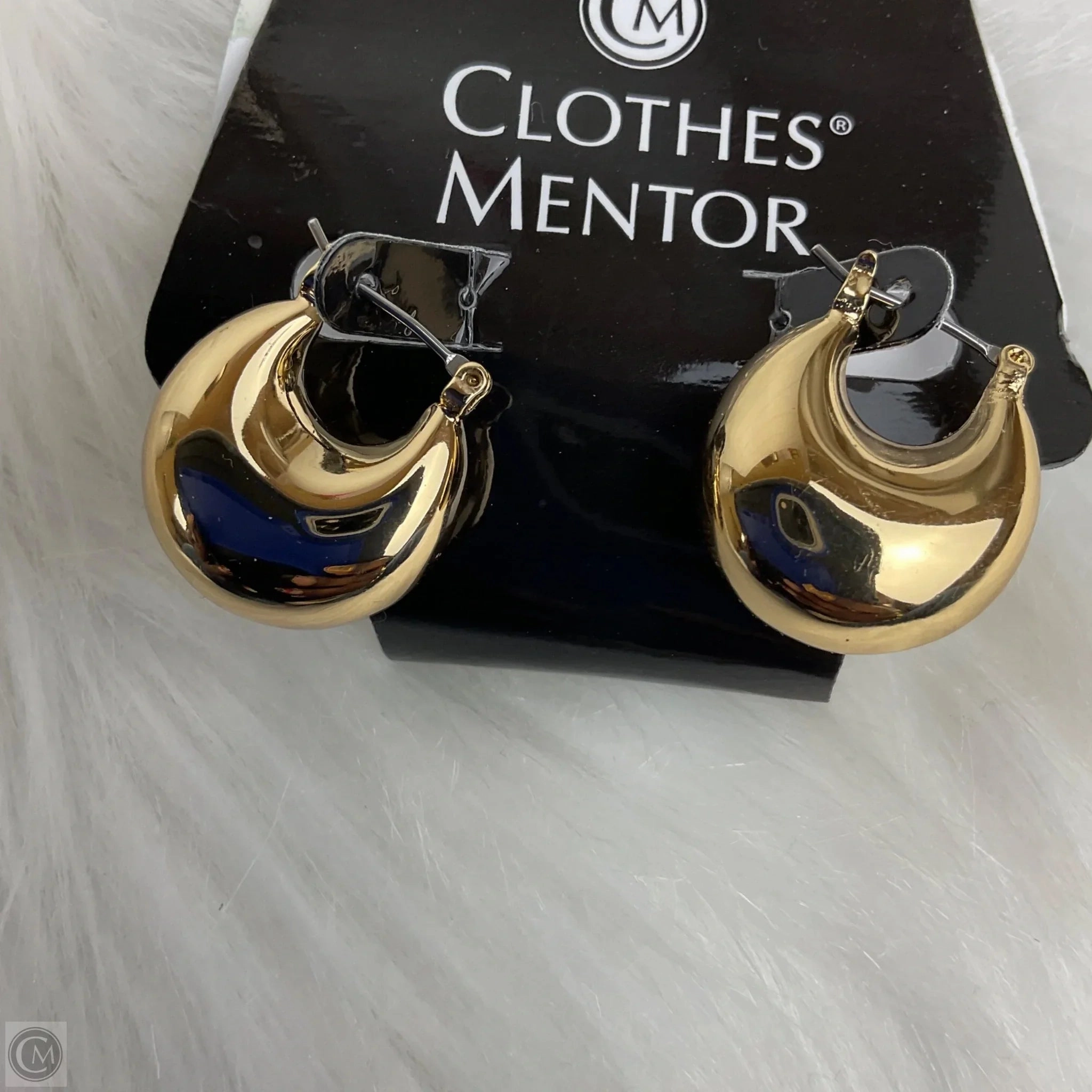 Earrings Hoop By White House Black Market