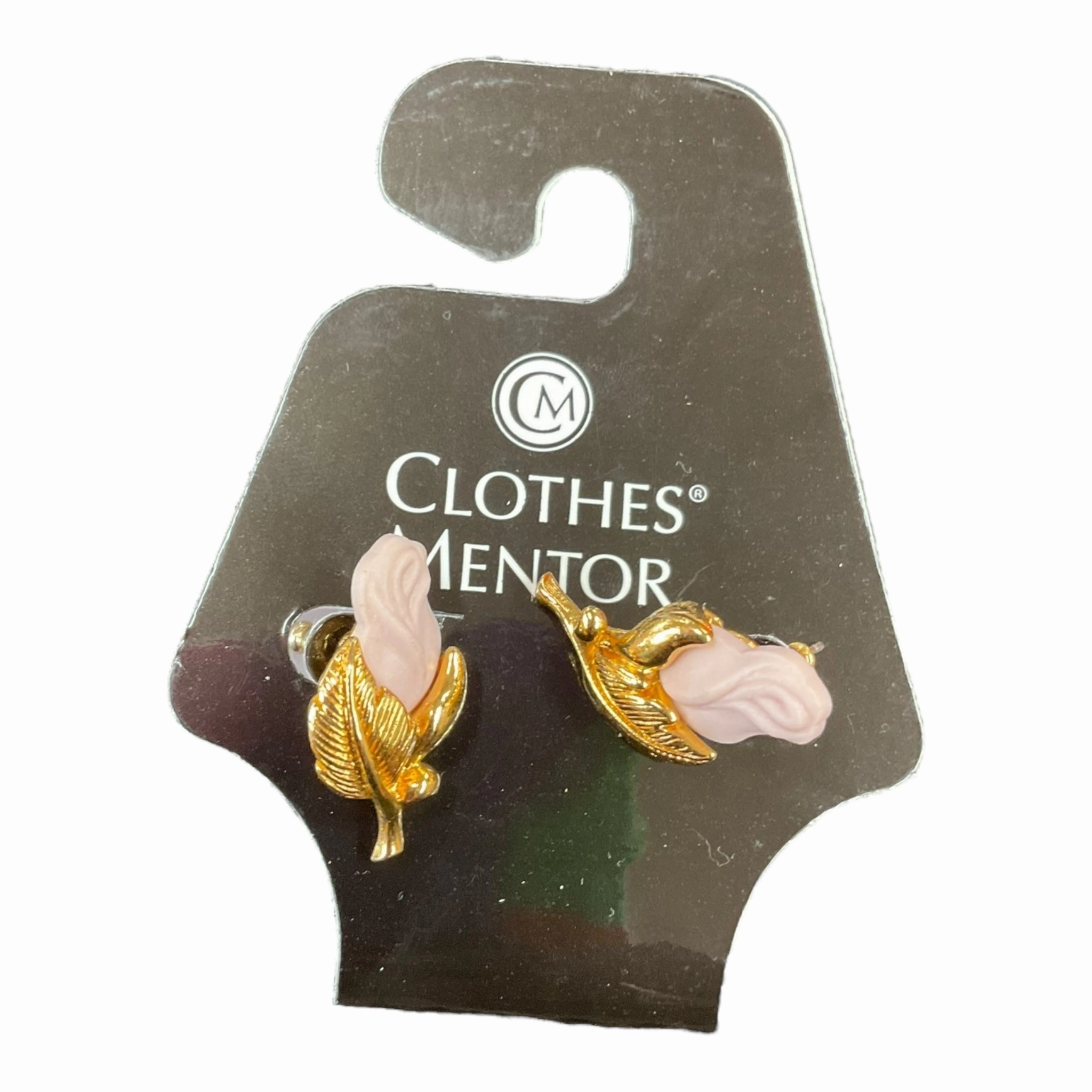 Earrings Stud Clothes Mentor
