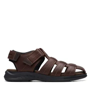 Shoes Clarks Men's Walkford Fish