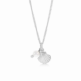 Sterling Silver Shell Pendant On 42 3cm Chain